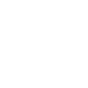 Pistola P8