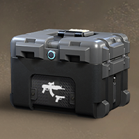 10 Weapon Containers