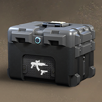 Weapon Container