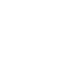 Способность «Блиц»