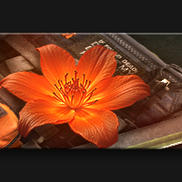 Эмблема «Прекрасно опасна»