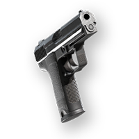 P8 pistol for Scout